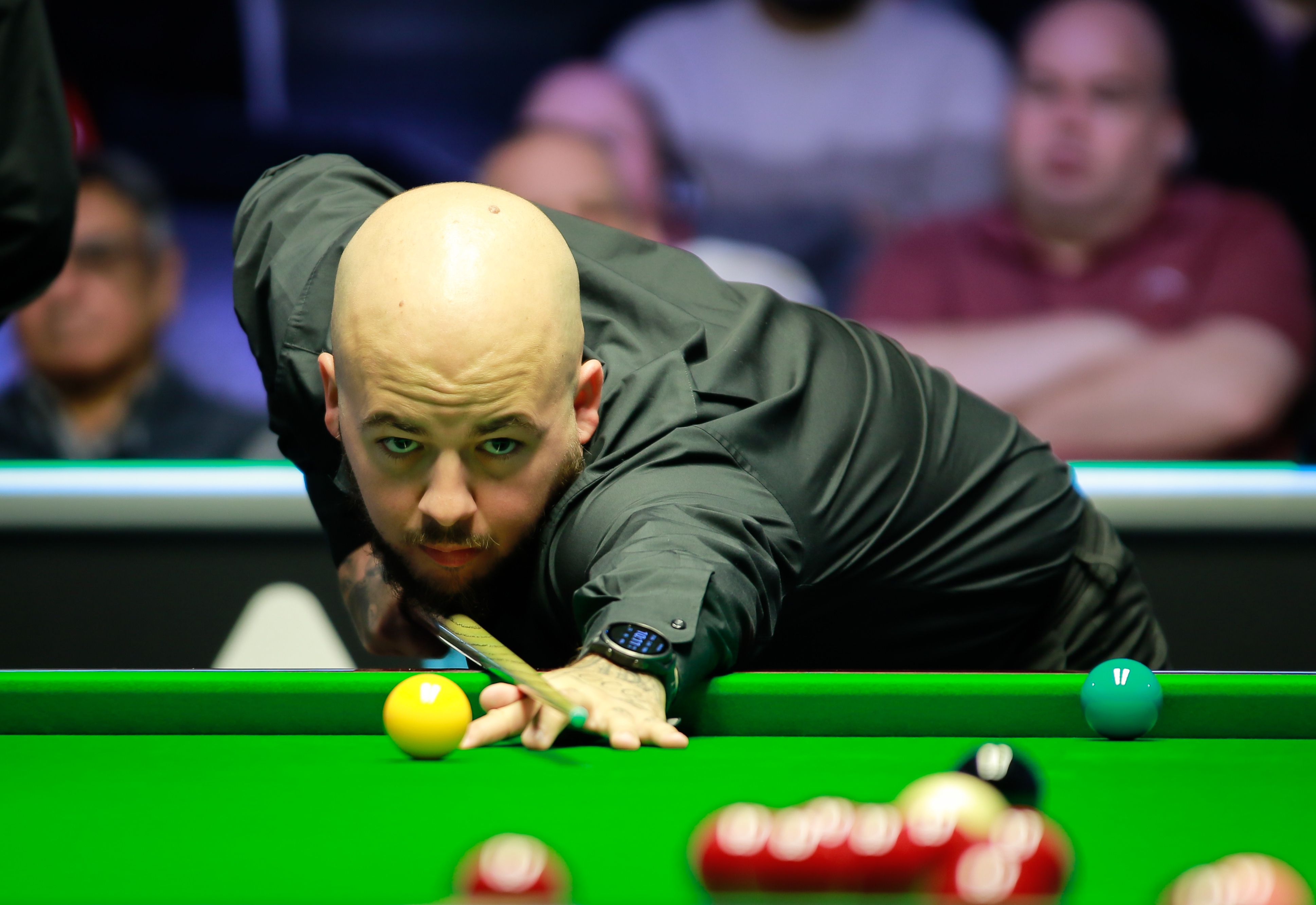 的带领下 的带领下